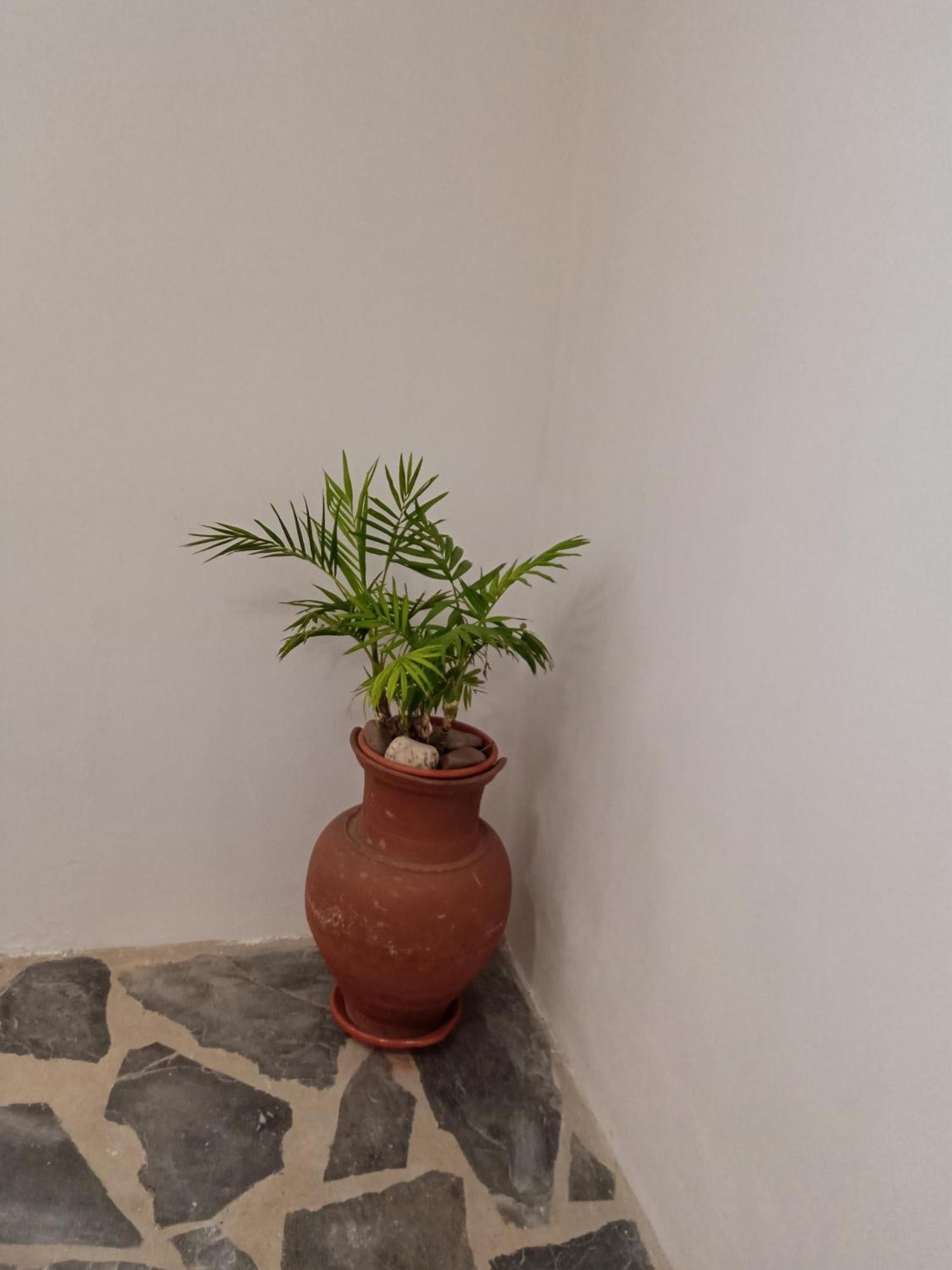 Quintinha Dos Pombinhos Villa Montoito Kültér fotó