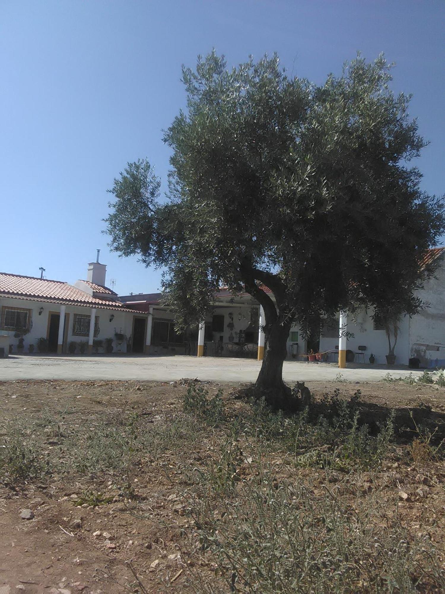 Quintinha Dos Pombinhos Villa Montoito Kültér fotó